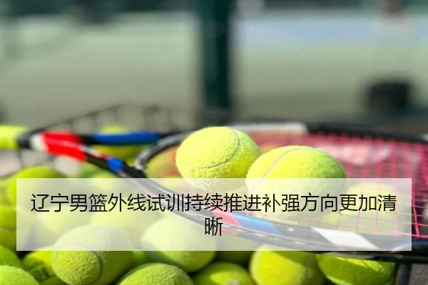 辽宁男篮外线试训持续推进补强方向更加清晰