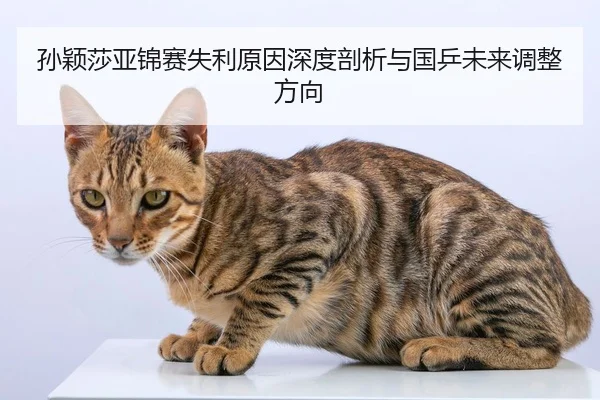 孙颖莎亚锦赛失利原因深度剖析与国乒未来调整方向